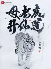 《母老虎升仙道》小说封面