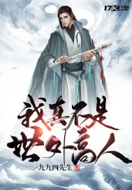 《我真不是世外高人》小说封面