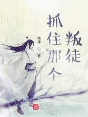 《抓住那个叛徒》小说封面