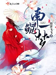 《南鲲一梦》小说封面