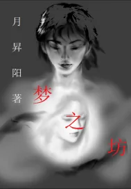 《梦之坊》小说封面