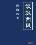 《飒飒西风》小说封面