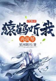 《猿鹤听我再抚琴》小说封面