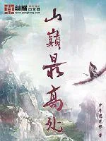 《山巅最高处》小说封面