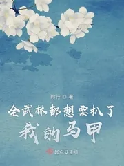 《全武林都想要扒了我的马甲》小说封面