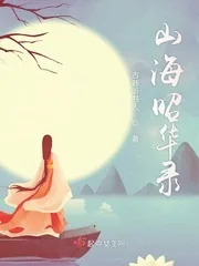 《山海昭华录》小说封面