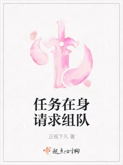 《任务在身请求组队》小说封面
