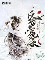 《反派恩仇录》小说封面
