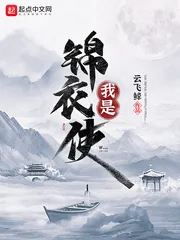 《我是锦衣使》小说封面