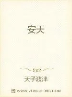 《安天》小说封面