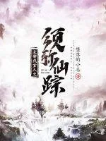 《主宰代言人》小说封面