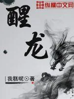 《醒龙》小说封面