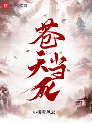 《苍天当死》小说封面