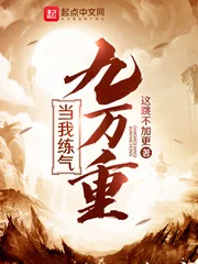 《当我练气九万重》小说封面
