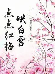 《点点红梅映白雪》小说封面