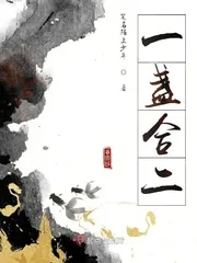 《一盏合二》小说封面