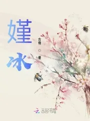 《嫤冰》小说封面