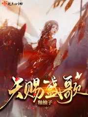 《天赐盛歌》小说封面