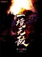 《一境无敌》小说封面