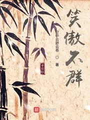 《笑傲不群》小说封面