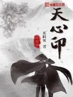 《天心印》小说封面