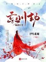 《陨落红尘忘川劫》小说封面