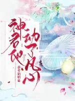 《神君他动了凡心》小说封面