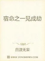 《宿命之一见成劫》小说封面
