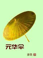 《元华伞》小说封面