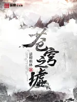 《苍穹之墟》小说封面