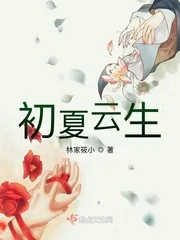 《初夏云生》小说封面