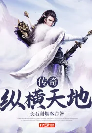 《传奇纵横天地》小说封面