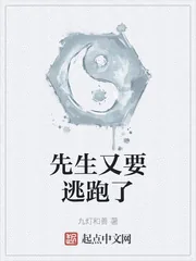 《先生又要逃跑了》小说封面