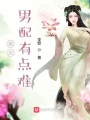 《炮灰男配有点难》小说封面