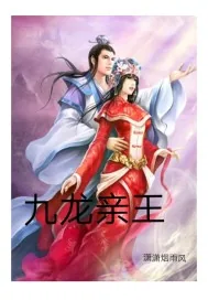 《九龙亲王》小说封面