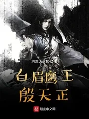 《白眉鹰王殷天正》小说封面