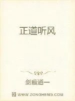《正道听风》小说封面