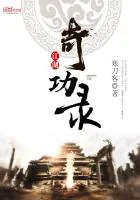 《江湖奇功录》小说封面