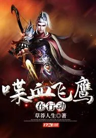 《喋血飞鹰在行动》小说封面