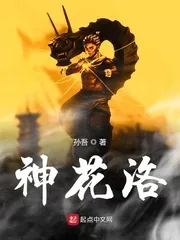 《神花洛》小说封面