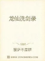《龙仙洗剑录》小说封面
