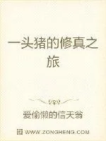 《一头猪的修真之旅》小说封面