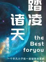 《踏凌诸天》小说封面