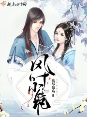 《风叶小筑》小说封面