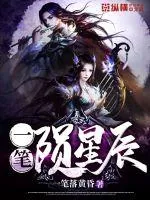 《一笔陨星辰》小说封面