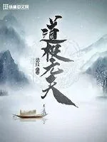 《道极无天》小说封面