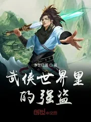 《武侠世界里的强盗》小说封面