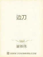 《边刀》小说封面