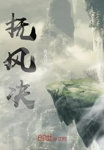 《抚风决》小说封面