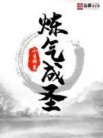 《炼气成圣》小说封面